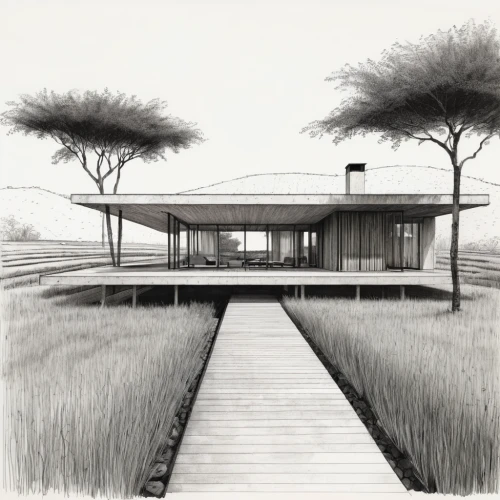 house drawing,dunes house,mid century house,stilt house,archidaily,matruschka,mid century modern,landscape plan,timber house,garden elevation,grass roof,architect plan,kirrarchitecture,inverted cottage,house by the water,boathouse,house with lake,residential house,bungalow,boat house,Illustration,Black and White,Black and White 08