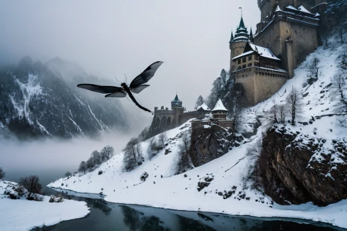 hogwarts,fantasy picture,elves flight,bird kingdom,dracula castle,sea swallow,southeast switzerland,castle of the corvin,fairy tale castle,bird of prey,fairytale castle,flying penguin,flying birds,birds in flight,condor,winter magic,bird in flight,lake misurina,eastern switzerland,bird flight,Photography,General,Fantasy