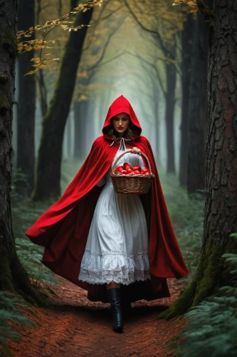 red riding hood,little red riding hood,red coat,red cape,hooded man,queen of hearts,fairy tale character,man in red dress,children's fairy tale,fairytale characters,fantasy picture,ballerina in the woods,fairy tale,photo manipulation,fairy tales,conceptual photography,photoshop manipulation,photomanipulation,a fairy tale,black forest,Photography,General,Fantasy