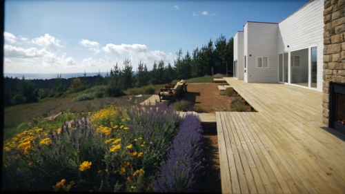 wooden decking,decking,3d rendering,wood deck,wooden path,landscape design sydney,render,landscape designers sydney,3d render,home landscape,walkway,the cabin in the mountains,the threshold of the house,wooden house,360 ° panorama,pathway,3d rendered,western yellow pine,summer house,larkspur