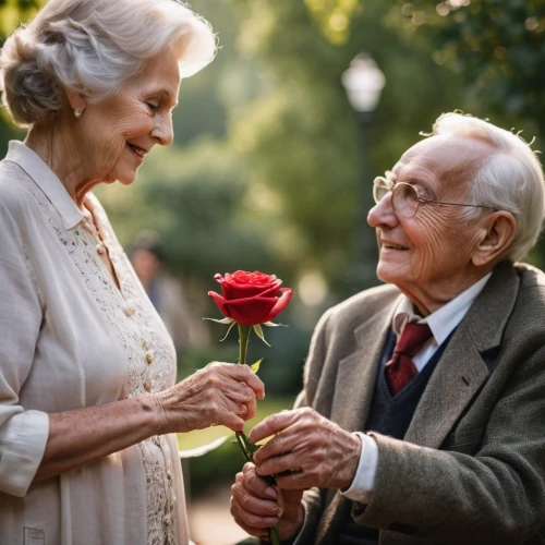 care for the elderly,old couple,elderly people,70 years,elderly,holding flowers,elderly person,anniversary 50 years,caregiver,grandparents,vintage man and woman,romantic portrait,elder berries,as a couple,older person,elder,couple goal,floral greeting,senior citizens,respect the elderly,Photography,General,Cinematic