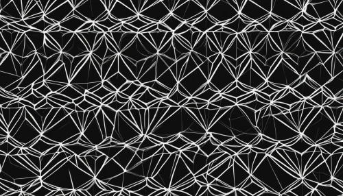 wire mesh,wire entanglement,wireframe,wire fence,neurons,ribbon barbed wire,wire fencing,wireframe graphics,barbwire,barbed wire,twine,lattice,tangle-web spider,tangle,chain fence,fibers,barb wire,chain-link fencing,wire mesh fence,textile,Illustration,Black and White,Black and White 12