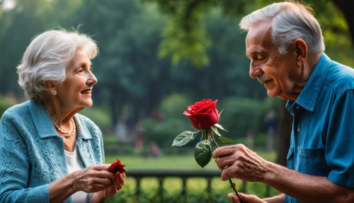 care for the elderly,elderly people,old couple,floral greeting,elderly,couple - relationship,caregiver,older person,pensioners,grandparents,respect the elderly,retirement home,anniversary 50 years,romantic scene,two people,courtship,holding flowers,retirement,romantic portrait,elderly person,Photography,General,Fantasy