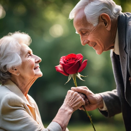 care for the elderly,old couple,elderly people,caregiver,respect the elderly,elderly,70 years,handing love,floral greeting,grandparents,older person,holding flowers,romantic portrait,elderly person,pensioners,as a couple,couple in love,true love symbol,couple goal,elder,Photography,General,Cinematic