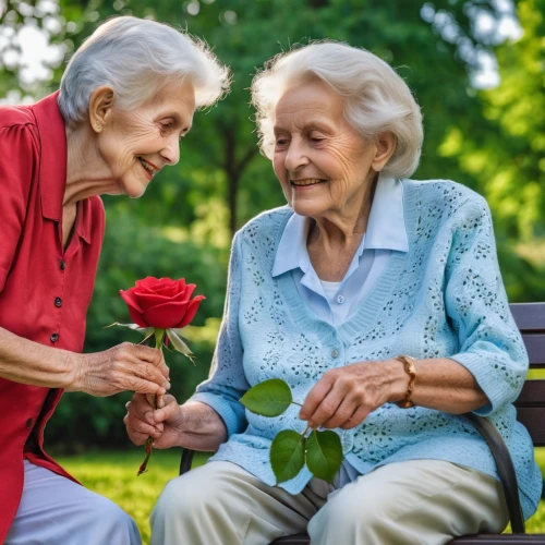 care for the elderly,elderly people,retirement home,nursing home,respect the elderly,flower arranging,holding flowers,caregiver,floral greeting,elderly,pensioners,sports center for the elderly,older person,old couple,elderly person,retirement,picking flowers,70 years,nanas,social group,Photography,General,Realistic