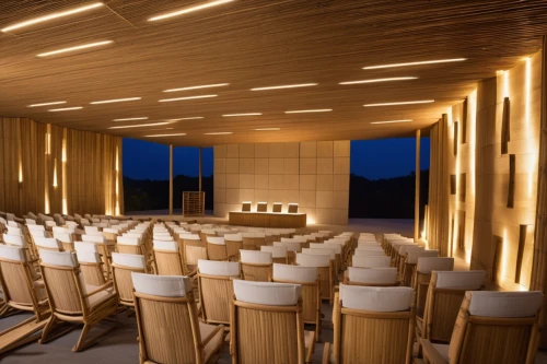 lecture hall,lecture room,conference hall,conference room,concert hall,event venue,movie theater,theater stage,auditorium,disney concert hall,meeting room,berlin philharmonic orchestra,christ chapel,concert venue,movie theatre,smoot theatre,performance hall,music venue,dupage opera theatre,philharmonic hall,Photography,General,Realistic