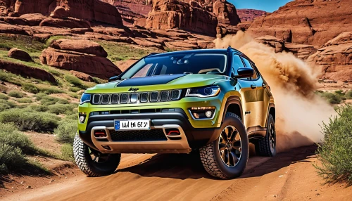 jeep trailhawk,dakar rally,suzuki jimny,raptor,snatch land rover,off-road vehicles,off-road vehicle,jeep grand cherokee,off-road,all-terrain,off-road racing,mercedes-benz g-class,off road,off road toy,off-road car,off road vehicle,off-road outlaw,compact sport utility vehicle,desert run,rally raid,Photography,General,Realistic