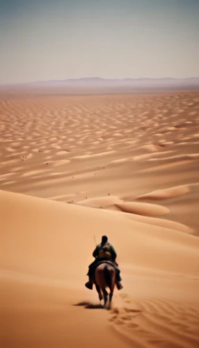 desert racing,libyan desert,desert run,merzouga,sahara desert,sand road,motorcycle tours,dakar rally,admer dune,gobi desert,capture desert,rally raid,the gobi desert,sahara,moving dunes,desert,desert safari,desertification,the desert,crescent dunes