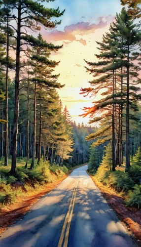 forest road,mountain road,maple road,the road,landscape background,country road,road,open road,long road,fork road,colored pencil background,empty road,roads,watercolor background,oil painting on canvas,tree lined lane,forest landscape,coniferous forest,coastal road,photo painting,Photography,General,Realistic