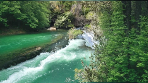 mckenzie river,green waterfall,aare,danube gorge,green water,southeast switzerland,gorges of the danube,berchtesgaden national park,rhine falls,slovenia,swiss jura,falls of the cliff,green trees with water,canyoning,king decebalus,whitewater kayaking,huka river,wasserfall,gorge,upper water