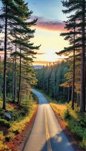 forest road,massachusetts,vermont,country road,dirt road,aaa,mountain road,fork road,maple road,long road,appalachian trail,the road,maine,winding roads,roads,winding road,open road,tree lined lane,new england,road,Photography,General,Realistic