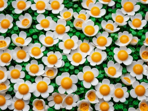 yolk flower,fried egg flower,candy corn pattern,candy pattern,tic tacs,drug marshmallow,white eggs,candy eggs,floral digital background,flower fabric,australian daisies,flower blanket,flower carpet,daisies,dot,flowers png,carrot pattern,flowers fabric,lots of eggs,colored eggs,Photography,General,Realistic