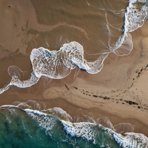fishing nets,sea jellies,jellyfishes,fishing net,jellyfish,aerial view of beach,box jellyfish,jellyfish collage,portuguese man o' war,aerial landscape,lion's mane jellyfish,aerial photography,drone image,fish traps,sand waves,waves circles,sea creatures,migration,animal migration,art forms in nature,Photography,General,Realistic