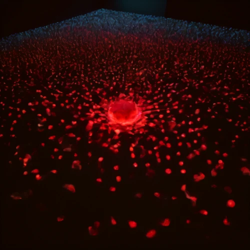 plasma lamp,red matrix,red blood cells,blood cells,red confetti,night view of red rose,particles,red anemone,deep coral,plasma,laser code,missing particle,connective tissue,polyp,computed tomography,fiber optic light,bioluminescence,laser light,corona virus,blood vessel