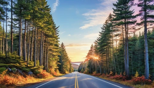 forest road,temperate coniferous forest,tropical and subtropical coniferous forests,coniferous forest,mountain road,aaa,country road,long road,open road,tree lined lane,the road,roads,winding roads,evergreen trees,maple road,mountain highway,bavarian forest,germany forest,fork road,road,Photography,General,Realistic