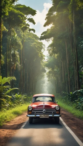 cuba background,classic car and palm trees,borgward,mercedes benz 190 sl,mercedes 190 sl,mercedes-benz 190sl,mercedes-benz 190 sl,sunbeam rapier,buick classic cars,bmw 501,mercedes benz 220 cabriolet,vintage cars,vintage car,chrysler windsor,volvo amazon,cuba havana,borgward hansa,cuba,classic cars,old havana,Photography,General,Realistic