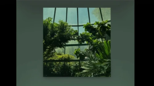 botanical frame,glass window,botanical square frame,glass panes,bedroom window,glass pane,window panes,window film,greenhouse,greenhouse cover,the window,leaves frame,window glass,window,window released,glass roof,window screen,structural glass,ivy frame,aviary