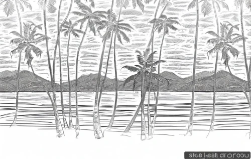 palm tree vector,coconut trees,palmtrees,palm tree silhouette,palm silhouettes,palm trees,coconut tree,palm tree,palm leaves,palm field,palmtree,tropical digital paper,coconut palms,palm pasture,cartoon palm,coconut palm tree,watercolor palm trees,palm branches,palms,palm fronds,Design Sketch,Design Sketch,Character Sketch