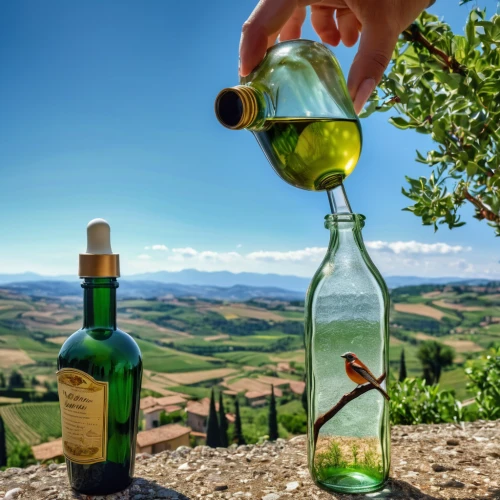 wine cultures,olive oil,tuscany,tuscan,wine bottle range,olive grove,wine bottles,wine region,glass bottles,glass bottle free,wine bottle,wine growing,vineyards,a bottle of wine,limoncello,decanter,provencal life,mediterranean diet,olive in the glass,bottles of essential oils,Photography,General,Realistic