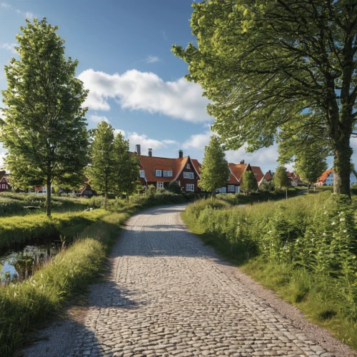 new housing development,hilvarenbeek,drotning holm,the netherlands,zaandam,escher village,dutch landscape,åkirkeby,townhouses,knight village,netherlands,hanseatic city,groenendael,stadtplaung,north holland,drentse patrijshond,noorderleech,bendemeer estates,planckendael,frisian house,Photography,General,Realistic