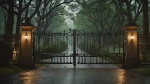 iron gate,gates,metal gate,fence gate,heaven gate,dark park,farm gate,front gate,the threshold of the house,haunted forest,gate,gateway,ghost castle,play escape game live and win,backgrounds,haunted castle,unfenced,haunted,entry forbidden,hollywood cemetery,Photography,General,Cinematic