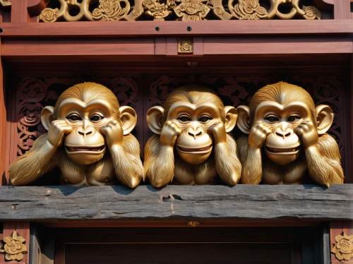 three wise monkeys,three monkeys,monkey family,monkeys band,primates,speak no evil,hear no evil,buddhists monks,monkeys,japan macaque,chinese icons,tokyo disneyland,the blood breast baboons,barbary macaques,shinto shrine gates,great apes,hall of supreme harmony,baboons,shinto shrine,tokyo disneysea,Photography,General,Realistic