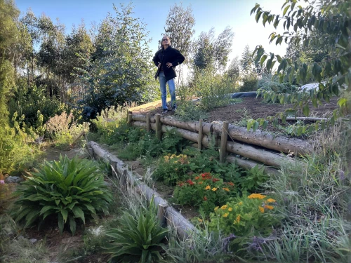 climbing garden,alpine meadows,nature garden,permaculture,highline trail,tona organic farm,nature and man,to the garden,provencal life,poison plant in 2018,landscape designers sydney,the garden,nature park,wooden bridge,garden of plants,highline,sake gardens,picking vegetables in early spring,live in nature,organic farm