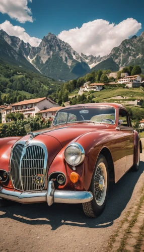 daimler sp250,jaguar xk120,maserati 3500,jaguar xk150,jaguar xk140,bmw 501,austin-healey 3000,austin-healey 100,alpine style,bmw 328,maserati 200s,facel vega facel ii,daimler 250,aston martin db mark iii,aston martin db2,maserati 300s,maserati 6cm,daimler sovereign,jaguar mark 1,alfa romeo 1900,Photography,General,Realistic