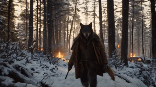 hooded man,woodsman,nordic christmas,the wanderer,forest man,cloak,siberia,the woods,christmas trailer,long coat,eskimo,glory of the snow,winter forest,overcoat,the witch,northern,nordic bear,hooded,red riding hood,the stake,Photography,General,Natural