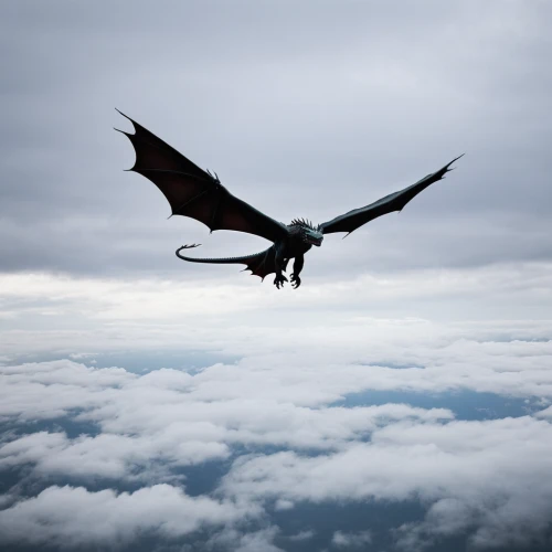 greater crimson glider,pterosaur,dragon of earth,pterodactyl,pterodactyls,hang glider,hang-glider,draconic,powered hang glider,flying fox,hang gliding or wing deltaest,dragon,flying hawk,flying snake,in flight,quetzal,bearded vulture,basilisk,condor,alpine chough,Photography,Documentary Photography,Documentary Photography 04