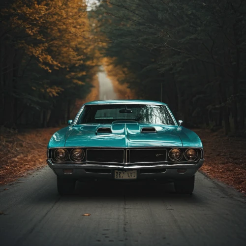 dodge challenger,yenko camaro,muscle car,plymouth road runner,classic car,shelby charger,american muscle cars,vintage car,lamborghini espada,plymouth barracuda,camaro,classic cars,boss 429,dodge charger,vintage cars,retro car,coronet,american classic cars,t bird,charger