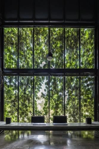 glass facade,wood window,intensely green hornbeam wallpaper,daylighting,glass panes,glass wall,wooden windows,structural glass,glass window,window film,window covering,conference room,lecture room,window panes,forest workplace,glass facades,lecture hall,lattice windows,lattice window,glass pane