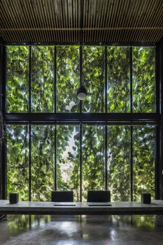 forest chapel,wood window,lecture hall,forest workplace,lecture room,conference room,glass window,glass wall,daylighting,christ chapel,lobby,glass facade,wooden windows,archidaily,wood mirror,glass panes,mirror house,structural glass,conference hall,big window