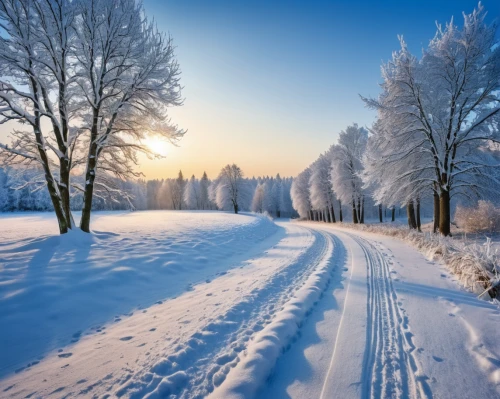 winter landscape,winter background,snow landscape,snowy landscape,winter morning,winter forest,snow scene,winter magic,cross-country skiing,winter dream,winter wonderland,wintry,winters,russian winter,christmas snowy background,winter sports,snow fields,hoarfrost,winter sport,cross country skiing,Photography,General,Realistic