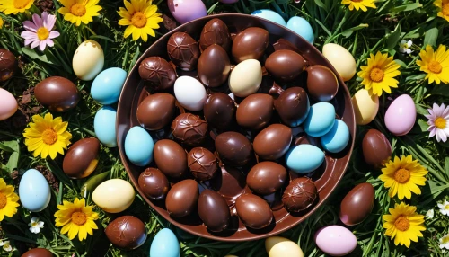 colorful sorbian easter eggs,easter eggs brown,sorbian easter eggs,easter background,colorful eggs,easter-colors,easter egg sorbian,easter eggs,colored eggs,candy eggs,brown eggs,easter décor,easter decoration,easter nest,easter theme,painted eggs,easter festival,easter rabbits,happy easter,easter pastries,Photography,General,Realistic