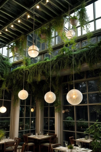 hanging plants,winter garden,greenhouse effect,greenhouse,conservatory,outdoor dining,restaurant bern,roof garden,hahnenfu greenhouse,greenforest,breakfast room,hanging plant,daylighting,alpine restaurant,urtica,halogen spotlights,potted plants,garden of plants,the garden society of gothenburg,fine dining restaurant