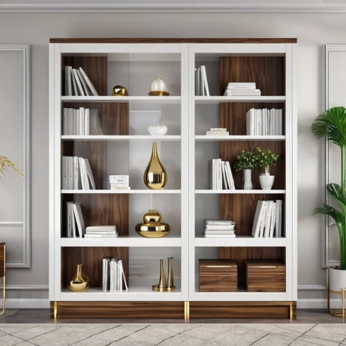 bookcase,bookshelves,bookshelf,shelving,armoire,wooden shelf,tv cabinet,room divider,shelves,cabinetry,search interior solutions,sideboard,entertainment center,shelf,storage cabinet,modern decor,cabinets,wooden mockup,pantry,contemporary decor,Photography,General,Realistic
