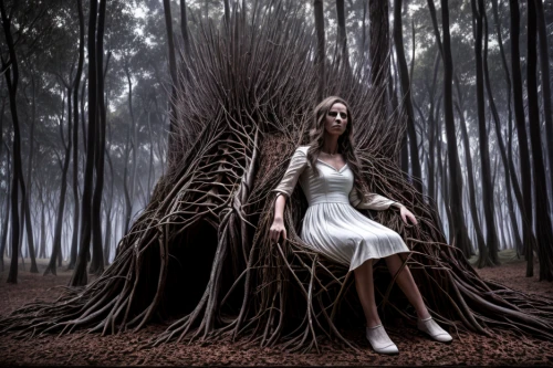 dryad,ballerina in the woods,conceptual photography,girl with tree,photo manipulation,the enchantress,photomanipulation,photoshop manipulation,uprooted,enchanted forest,faerie,rooted,art photography,digital compositing,image manipulation,forest of dreams,forest dark,the girl next to the tree,fairy forest,faery