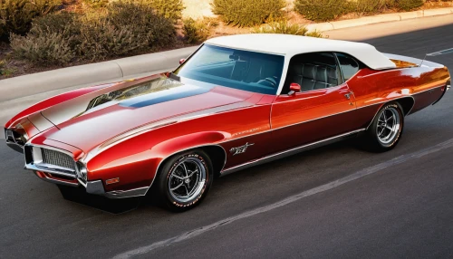 pontiac grand prix,pontiac gto,oldsmobile 442,pontiac firebird,mercury cyclone,buick invicta,buick skylark,mercury cougar,firebird,pontiac trans-am 1970,chevrolet el camino,buick gran sport,t bird,pontiac ventura,thunderbird,muscle car,chevrolet chevelle,buick blackhawk,buick riviera,pontiac tempest,Photography,General,Natural