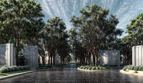 landscape design sydney,landscape designers sydney,garden design sydney,3d rendering,tree-lined avenue,australian cemetery,forest cemetery,palma trees,ornamental dividers,holocaust memorial,bendemeer estates,gum trees,concrete slabs,concrete blocks,tree grove,grove of trees,archidaily,driveway,new housing development,k13 submarine memorial park