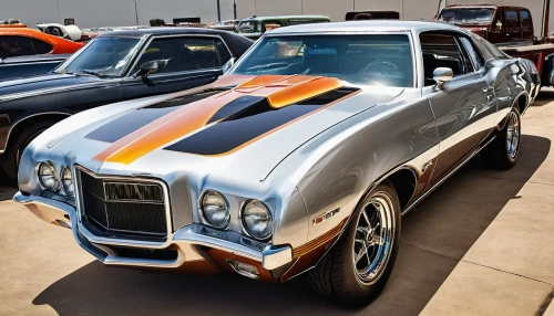 oldsmobile 442,pontiac firebird,pontiac grand prix,pontiac gto,pontiac trans-am 1970,buick skylark,mercury cougar,pontiac tempest,amc amx,buick invicta,dodge super bee,muscle car,firebird,mercury cyclone,gto,buick gran sport,amc javelin,pontiac parisienne,buick blackhawk,caddy,Photography,General,Natural