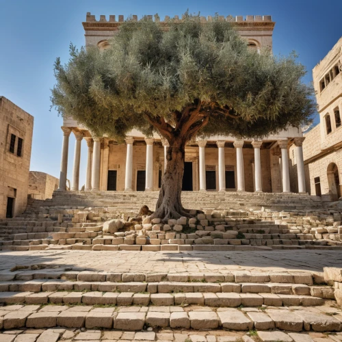 jerash,first may jerash,temple of diana,monastery israel,jordan tours,genesis land in jerusalem,qasr amra,argan tree,argan trees,celsus library,the monastery ad deir,greek temple,umayyad palace,unesco world heritage site,qasr al watan,el jem,ancient greek temple,olive tree,amman citadel,roman temple,Photography,General,Realistic