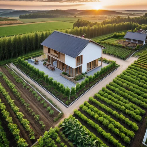wine growing,wine-growing area,grower romania,vineyards,vineyard,farmstead,dji agriculture,country estate,organic farm,wine country,farm house,winery,winegrowing,castle vineyard,wine region,country house,home landscape,southern wine route,beautiful home,eco-construction,Photography,General,Realistic