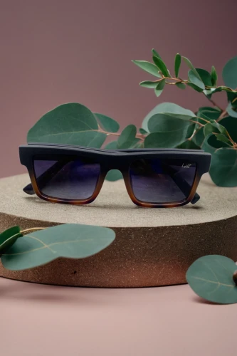 stitch frames,milbert s tortoiseshell,aviator sunglass,floral mockup,shades,ray-ban,3d mockup,wooden mockup,eye glass accessory,pond lenses,tortoise shell,sunglass,sun glasses,eyewear,polarized,product photos,3d render,leaves case,tints and shades,planter