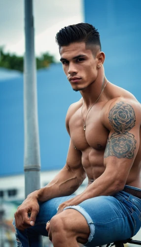 bodybuilding supplement,body building,anabolic,bodybuilding,street workout,latino,bodybuilder,man on a bench,fitness model,male model,shredded,fitnes,ripped,fitness and figure competition,body-building,muscle angle,fitness professional,muscled,adonis,basic pump,Photography,General,Realistic