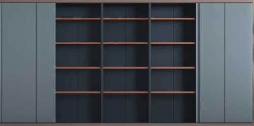 storage cabinet,bookcase,armoire,walk-in closet,hinged doors,metal cabinet,cabinets,filing cabinet,metallic door,shelving,storage,bookshelf,cupboard,cabinetry,frame mockup,garment racks,bookshelves,shelves,storage medium,dark cabinetry,Photography,General,Realistic