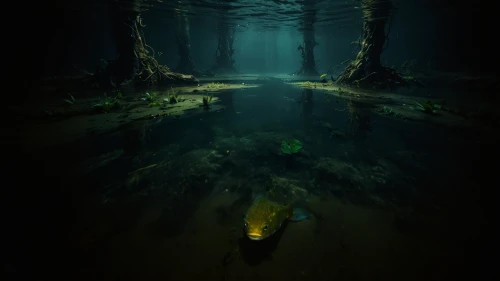 underground lake,underwater landscape,underwater background,undersea,sunken boat,sunken ship,submerged,sunken church,deep sea,underwater oasis,cave on the water,under the water,ocean underwater,ocean floor,sunken,underwater,cenote,under water,swamp,submerge