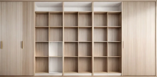 storage cabinet,bookcase,room divider,shelving,cupboard,bookshelves,bookshelf,walk-in closet,armoire,wooden shelf,cabinetry,shelves,shelf,empty shelf,wooden mockup,laminated wood,wood-fibre boards,pantry,storage medium,plywood,Common,Common,Natural