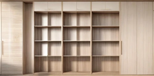 storage cabinet,bookcase,walk-in closet,room divider,bookshelves,armoire,shelving,bookshelf,cupboard,cabinetry,tv cabinet,wooden shelf,shelves,metal cabinet,cabinet,empty shelf,cabinets,shelf,californian white oak,pantry,Common,Common,Natural