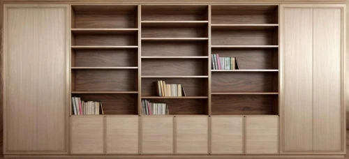 bookcase,bookshelves,bookshelf,armoire,shelving,cabinetry,storage cabinet,tv cabinet,book bindings,cabinet,cupboard,cabinets,wooden shelf,shelves,room divider,shelf,danish furniture,sideboard,walk-in closet,metal cabinet,Common,Common,Natural